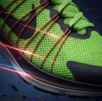 Flywire