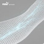 AirMesh
